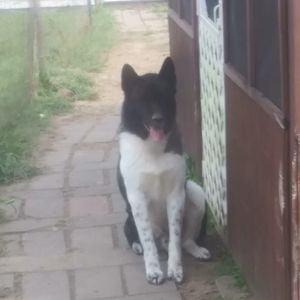 Meet your Posher, Josh